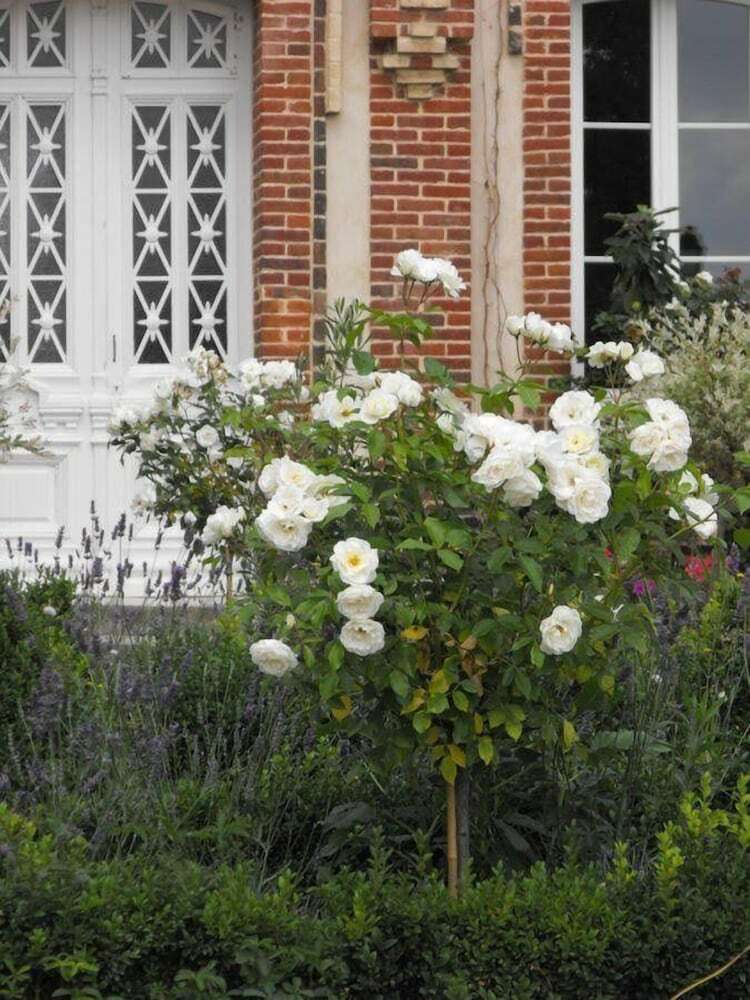 Bed & Breakfast Chambres D'hotes Le Presbyt�re
