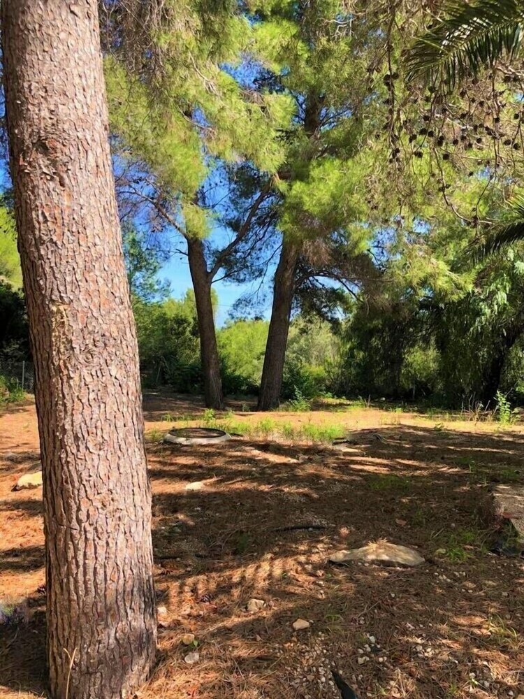 Bungalow 1 Dormitorio Montg�