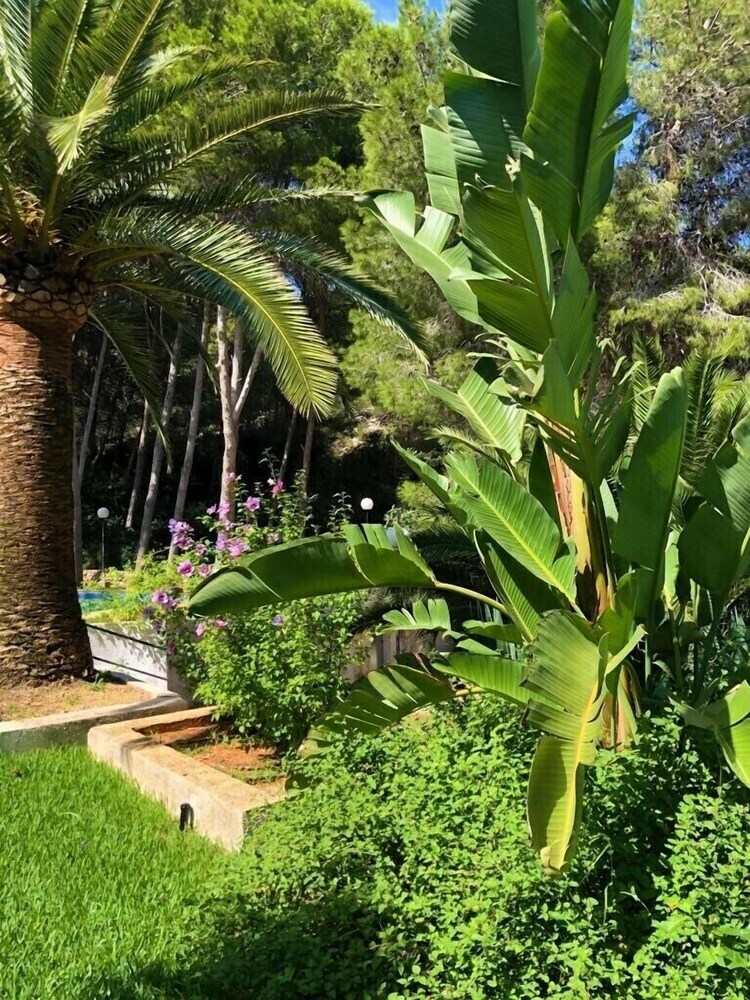 Bungalow 1 Dormitorio Montg�