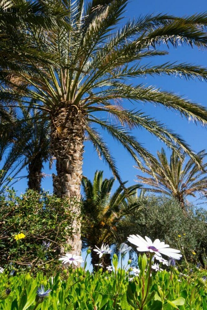 Apartamento Authentic Cretan Stone Windmill - AC - Wifi - Sat Tv
