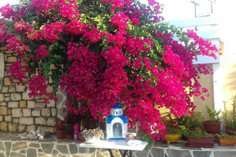 Ricos Two Bedroom Apartment - Naoussa Paros