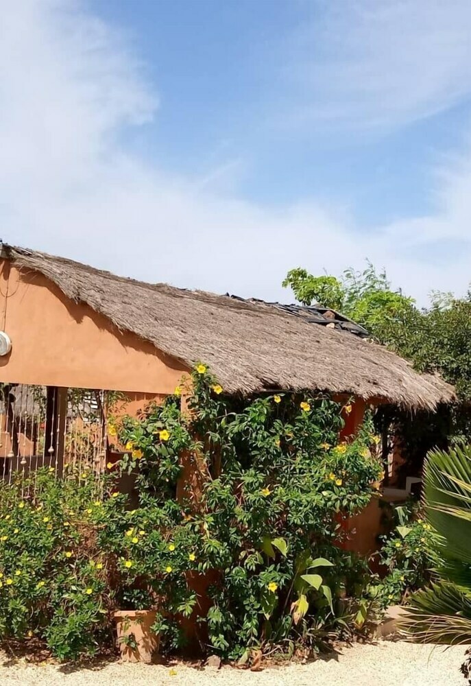 Hotel Campement Baobab
