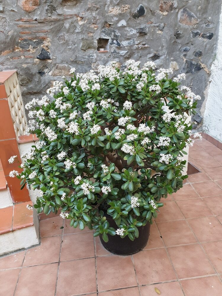 Agroturismo Cal Valero