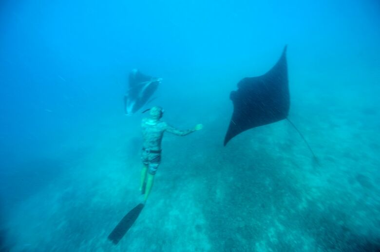Apartamento Mantaray Island Resort