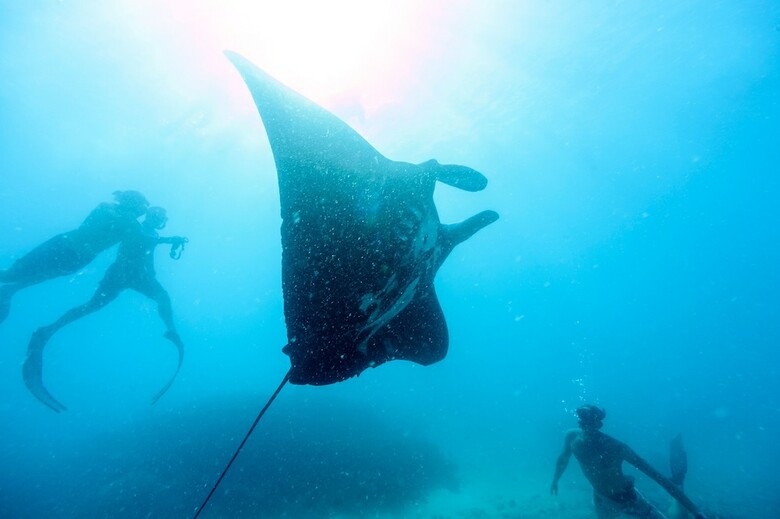 Apartamento Mantaray Island Resort