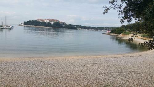 Apartments Bosankic