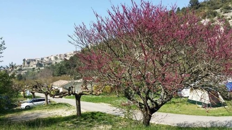 Camping Le Vallon