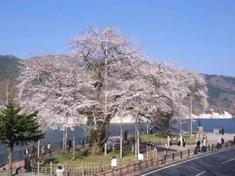 Hotel Ryu Resort And Spa