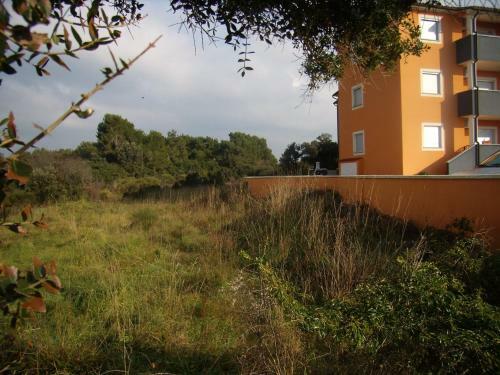 Apartment Iva