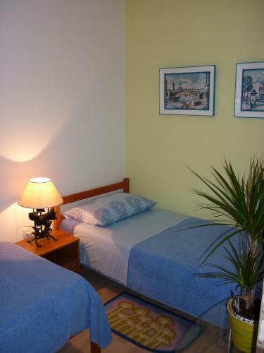 Apartment Iva