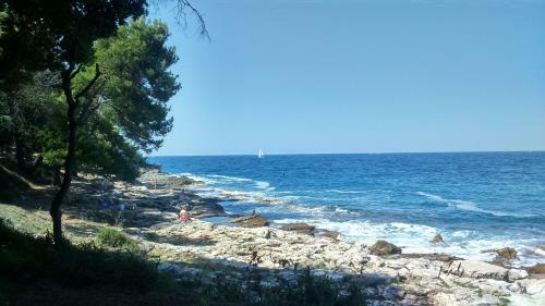 Holiday Home Pineta