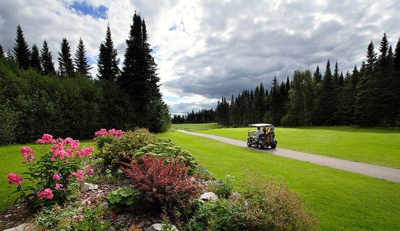 Hotel Holiday Inn Express Deer Lake