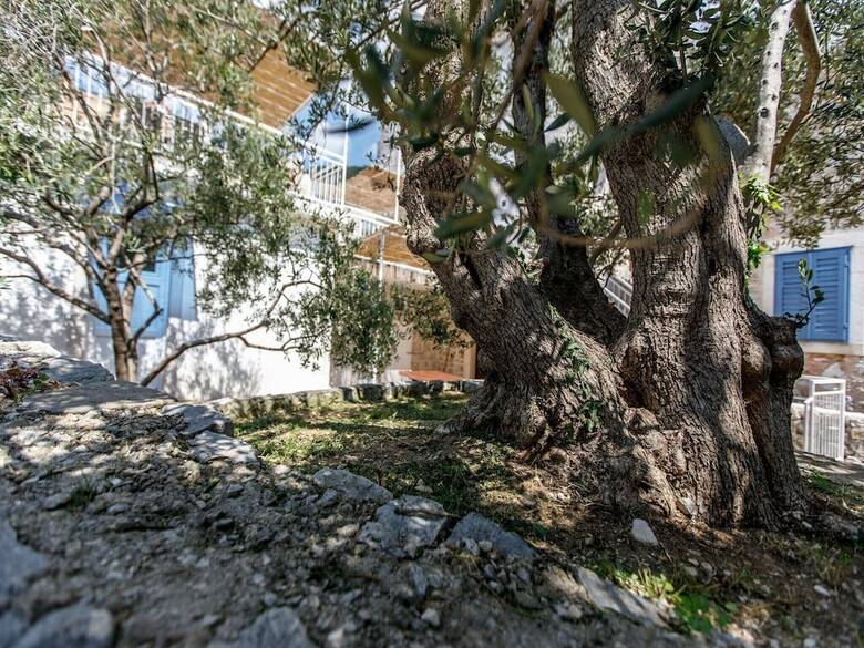 Agroturismo Villa Balarin