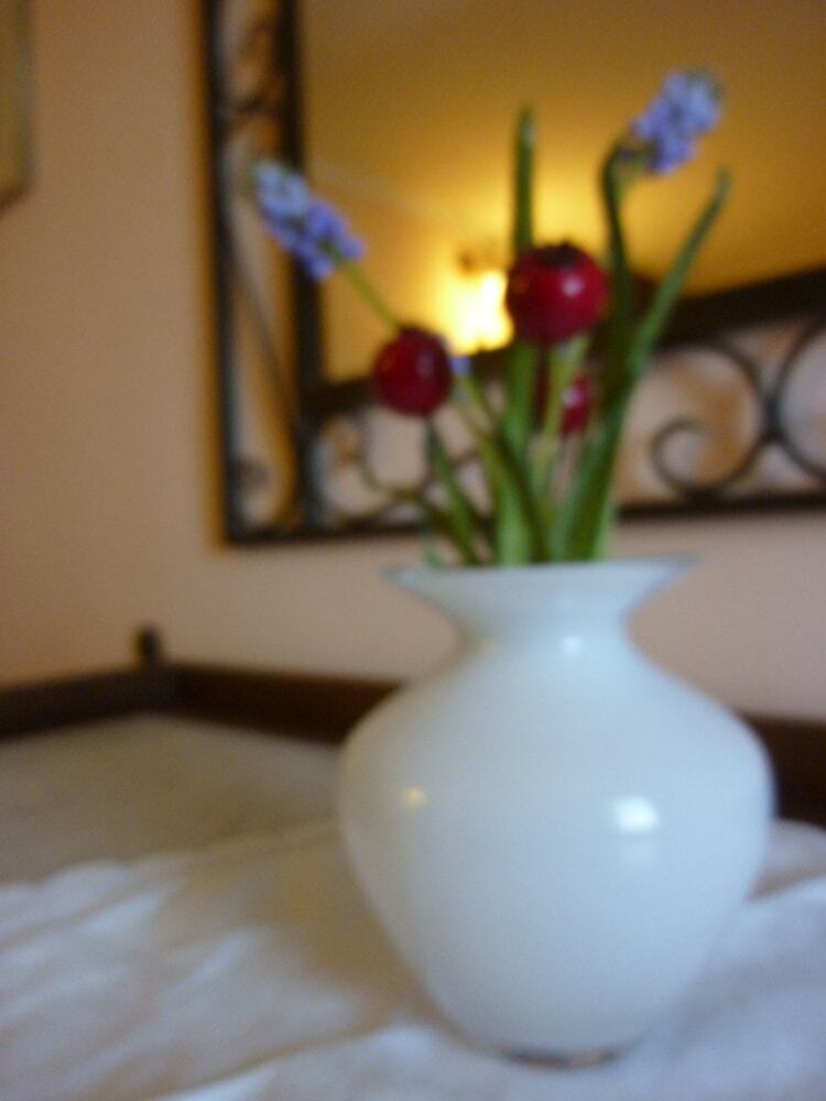 Agroturismo Casale Dei Gelsi Bed & Breakfast