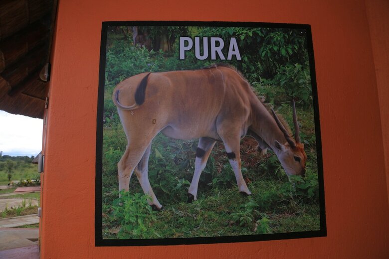 Posada Acaki Lodge Kitgum