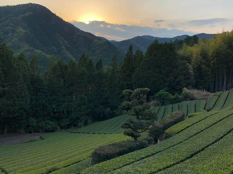 Yui Valley