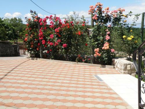 Apartamentos Villa Roze