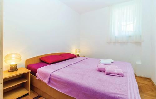 Apartment Cizici V