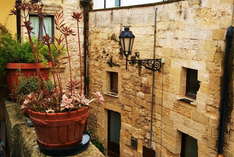 B&B Demetra
