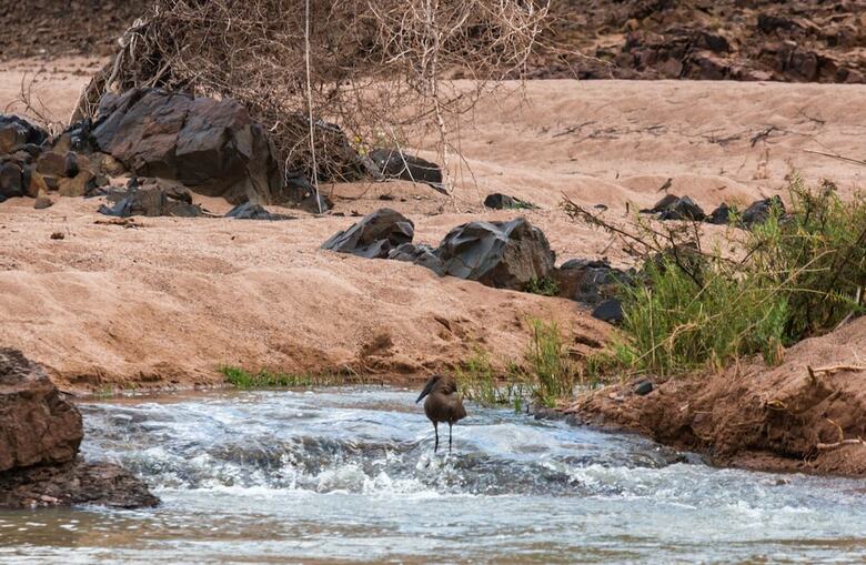 Posada Kunene River Lodge