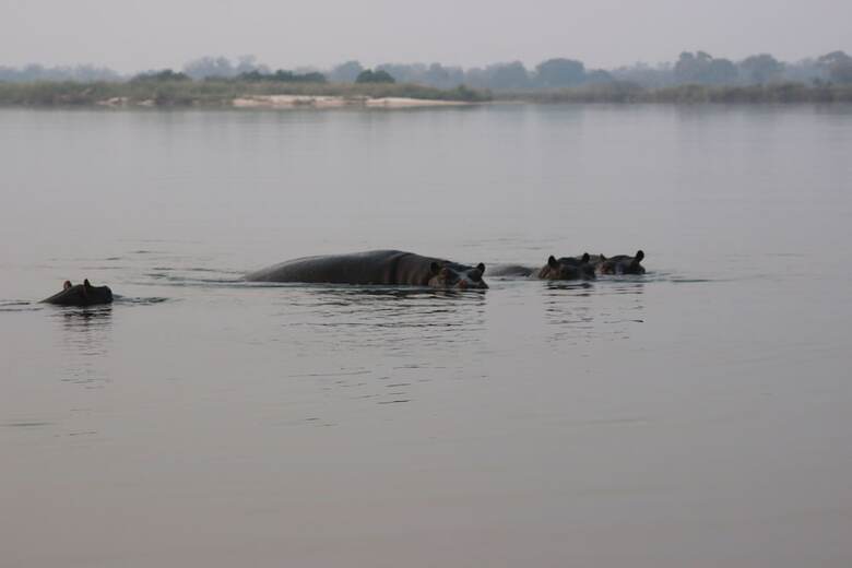 Ndhovu Safari Lodge - Campground