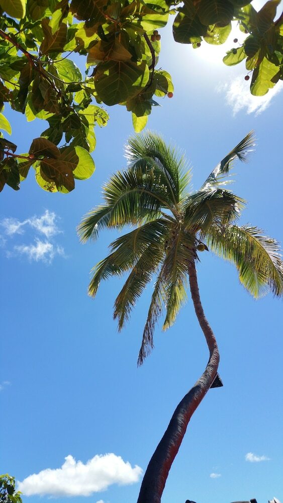 Apartamento Coralview Island Resort