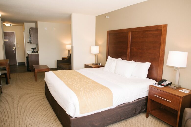 Hotel Comfort Inn And Suites Custer