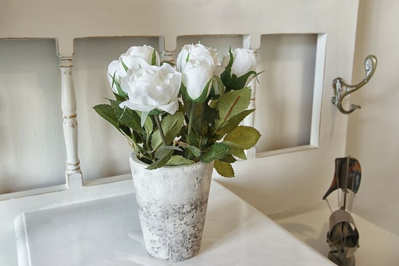 Hotel Bluegum Hill Guesthouse & Apartments