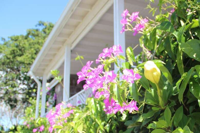 Hotel Montpelier Plantation & Beach