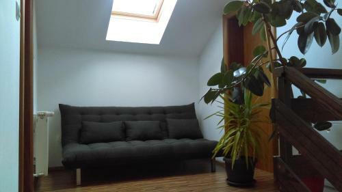 Hostal Guest House Buk