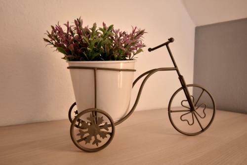 Apartamentos Guesthouse Obitelj Paulic