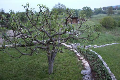 Hostal Apartman Cindric