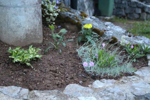 Hostal Apartman Cindric