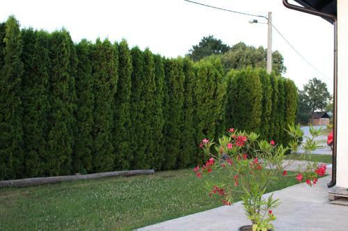 Hostal Apartman Cindric