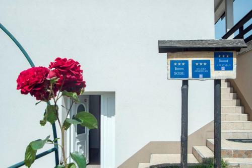 Hostal Apartments Vesna