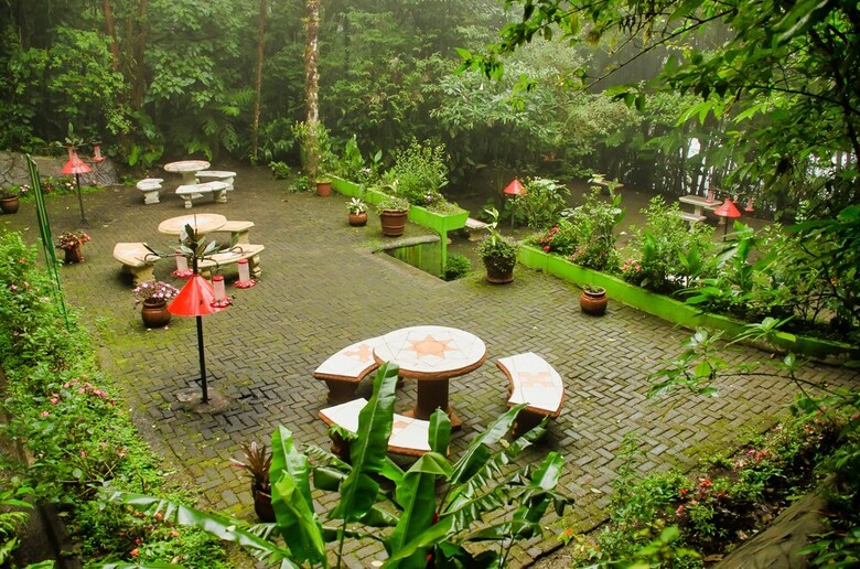 Hotel Ficus - Monteverde
