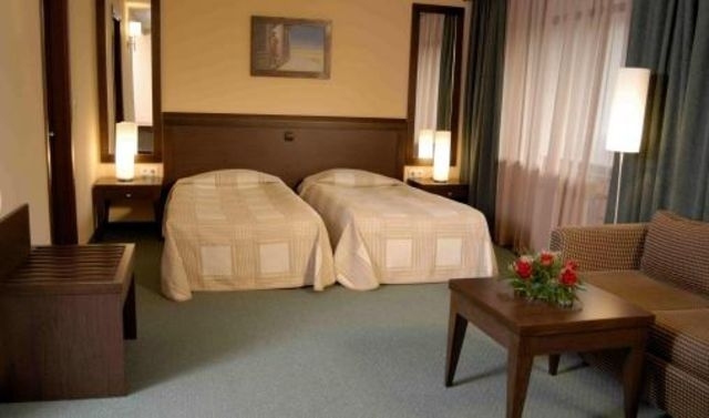Hotel Lion