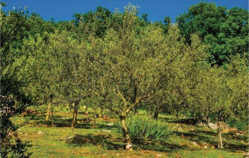 Holiday Home Reburici I