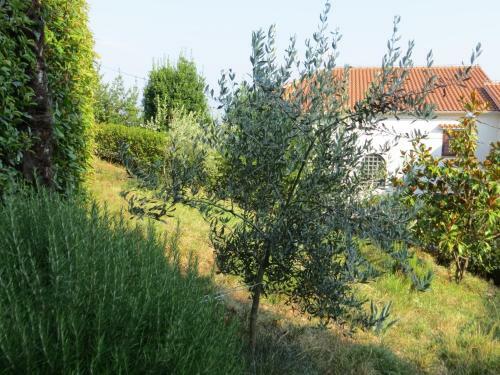 Apartamentos Villa Luppo
