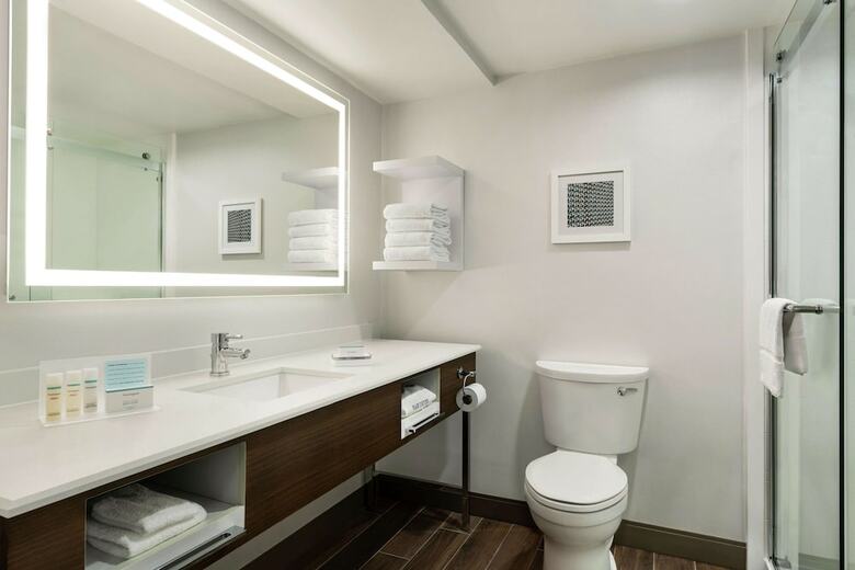 Hotel Hampton Inn Dulles - Cascades