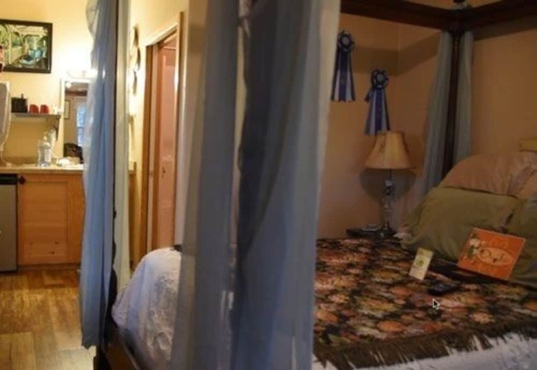 Bed & Breakfast Old Irish Bandb @ Patricks' Pastures Alpaca Ranch
