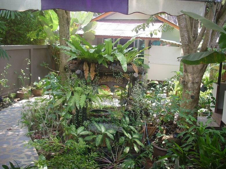 Apartamento Faye Orchid Resort