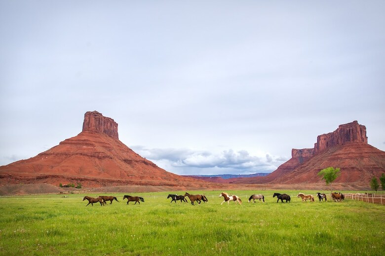 Apartamento Sorrel River Ranch Resort