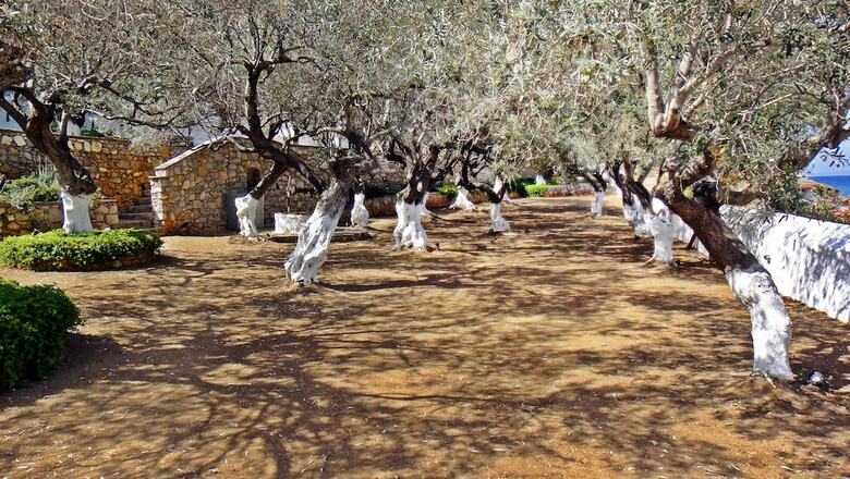 Hotel Four Seasons Hydra