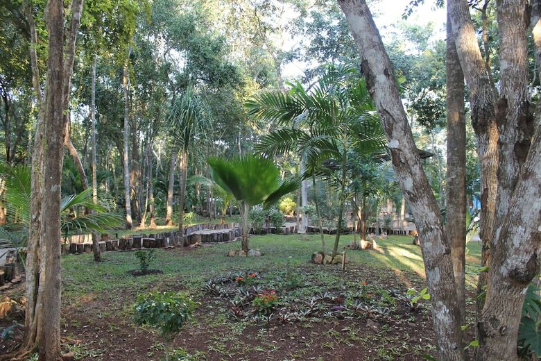 Real Mayab Hotel & Bungalows