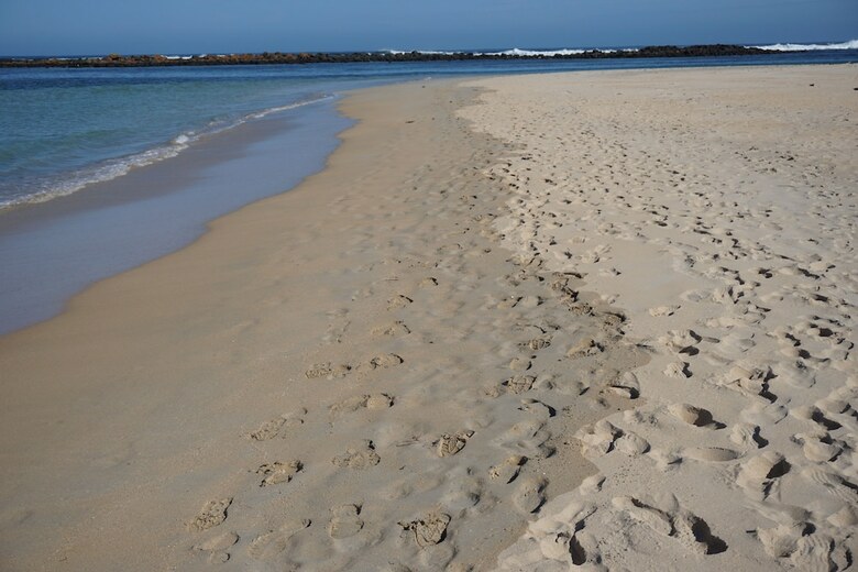 Ashmont Motor Inn & Apartments