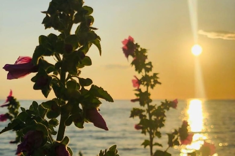 Hotel Divani Corfu Palace