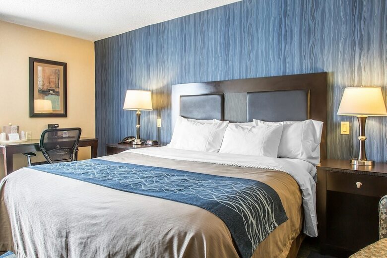 Hotel Comfort Inn & Suites