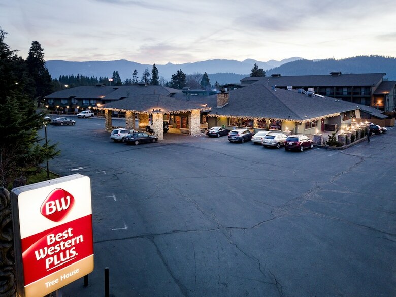 Hotel Best Western Plus Tree House