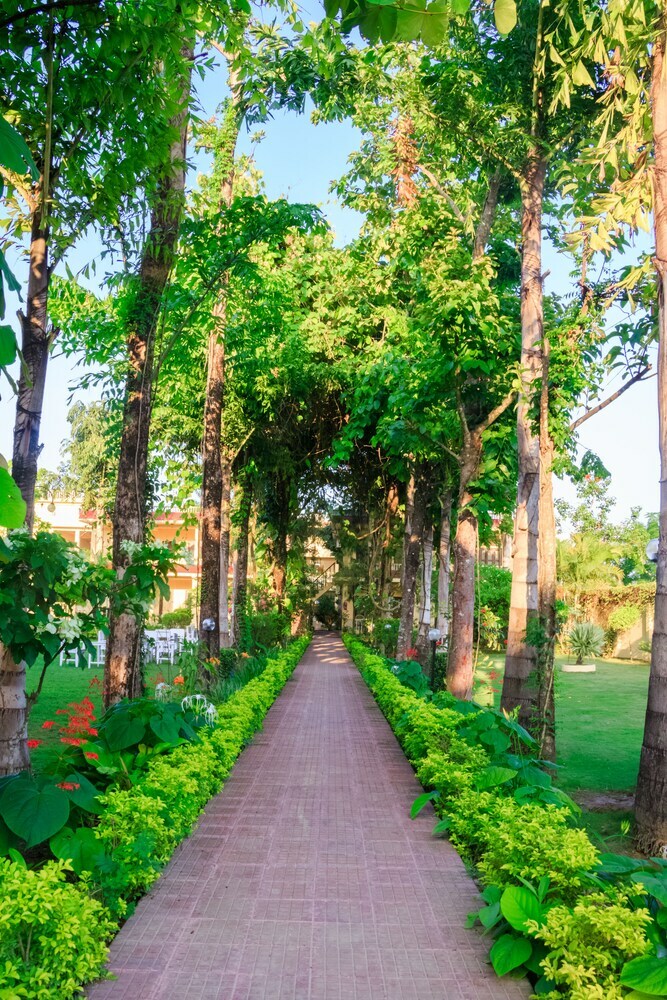 Apartamento Hotel Rainforest
